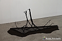 VBS_8465 - Artissima 2022 - Ventinovesima Edizione